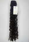 Burmese Curly
